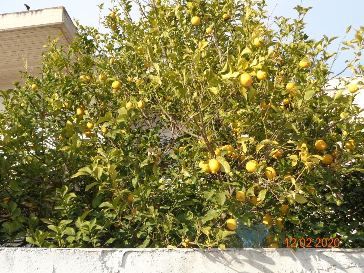 Traditional Guesthouse Asimakis Anifion Exterior foto