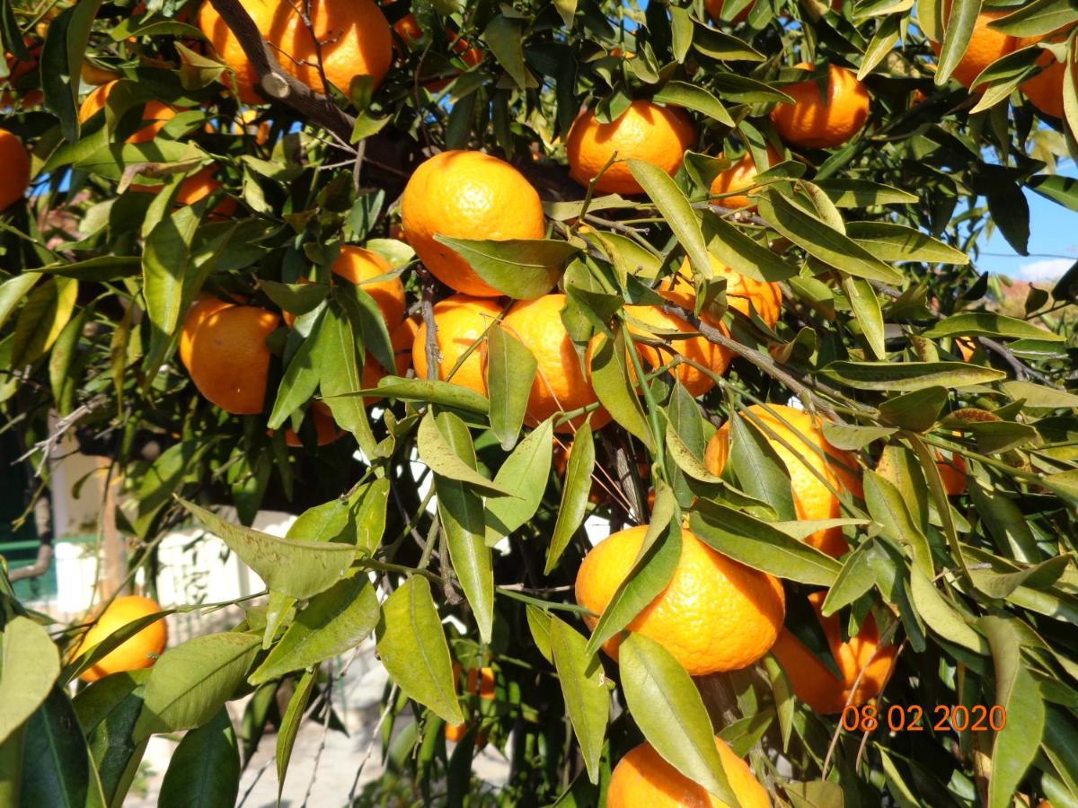 Traditional Guesthouse Asimakis Anifion Exterior foto